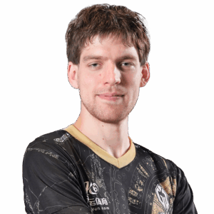 Seleri Player Sticker - TI 2023