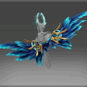 Skywarrior's Wings