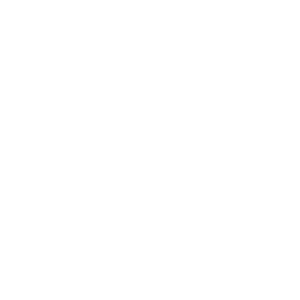 Team Spirit Team Sticker - TI 2024