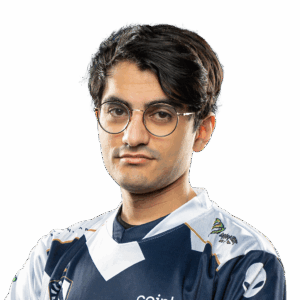 iNsania Player Sticker - TI 2022