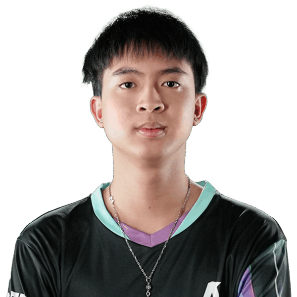 23savage Player Sticker - TI 2024