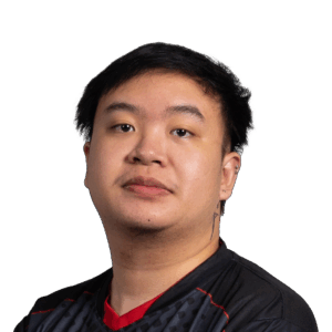 Holo skem Player Sticker - TI 2022