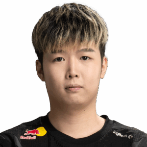 NothingToSay Player Sticker - TI 2024
