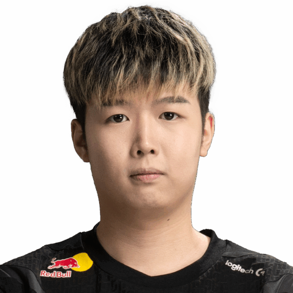 NothingToSay Player Sticker - TI 2024