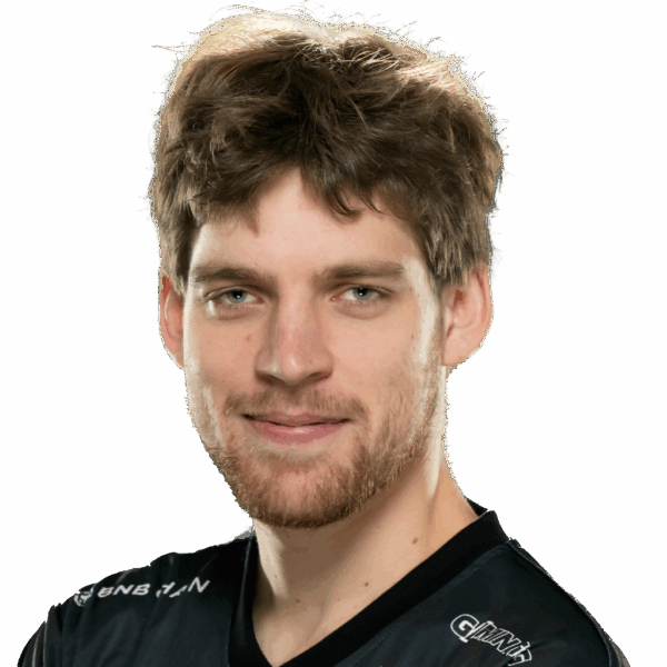 Seleri Player Sticker - TI 2024