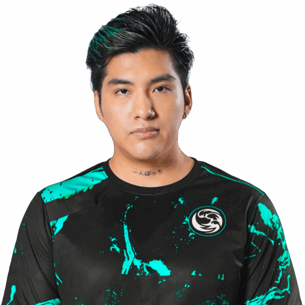 stingeR Player Sticker - TI 2023