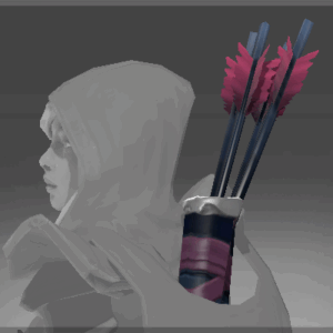 Quiver of the Shadowcat