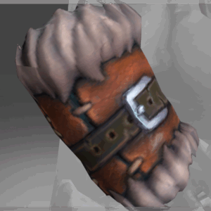 Arms of the Seasoned Expeditionary