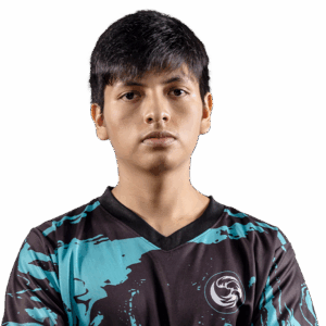 Glitter payk Player Sticker - TI 2024