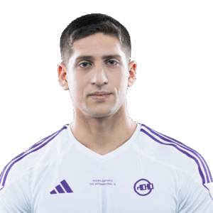 Holo Fly Player Sticker - TI 2024