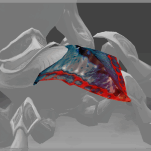 Inscribed Shell of Kaktos