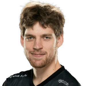 Seleri Player Sticker - TI 2024