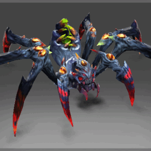 Webs of Perception Set