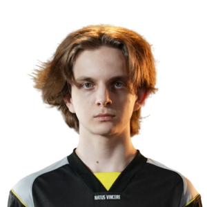 Niku Player Sticker - TI 2025