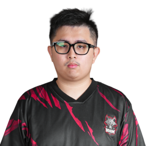 TIMS Player Sticker - TI 2025