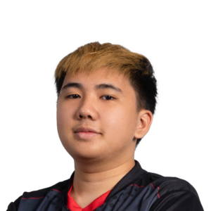 Gold Yopaj- Player Sticker - TI 2022