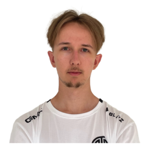 Holo Ari Player Sticker - TI 2023