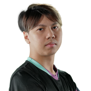 Holo Q Player Sticker - TI 2024