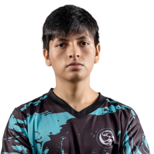 Holo payk Player Sticker - TI 2024