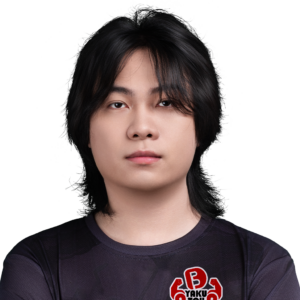 BoBoKa Player Sticker - TI 2025