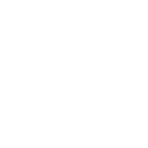 Holo Tundra Esports Team Sticker - TI 2024