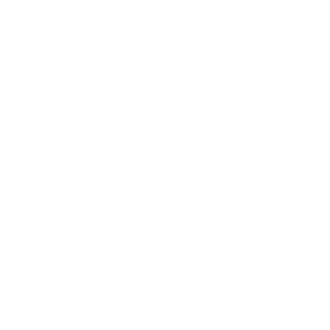 Holo Tundra Esports Team Sticker - TI 2025