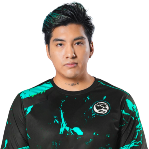 Holo stingeR Player Sticker - TI 2023