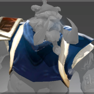 Heroic Bobusang's Jacket