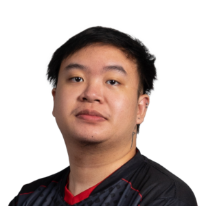 Holo skem Player Sticker - TI 2022