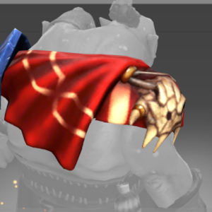 Inscribed Cloak of Pagus