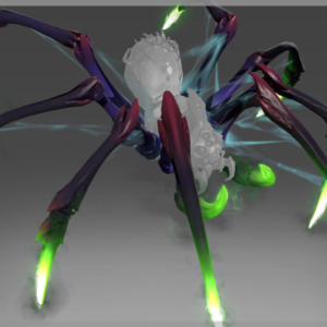 Inscribed Limbs of Lycosidae