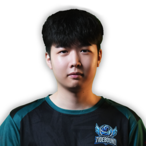 NothingToSay Player Sticker - TI 2025