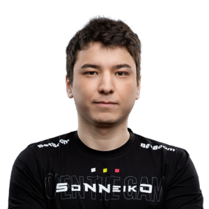 SoNNeikO Player Sticker - TI 2022