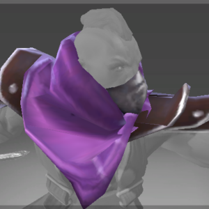 Inscribed Shoulders of the Witch Hunter