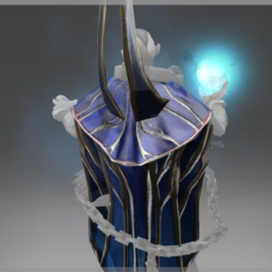 Autographed Cloak of the Rime Lord