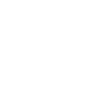 Nigma Galaxy Team Sticker - TI 2025