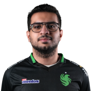 AMMAR_THE_F Player Sticker - TI 2024