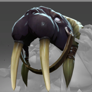 Head of the Odobenus One