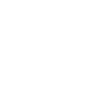 Holo TSM Team Sticker - TI 2023