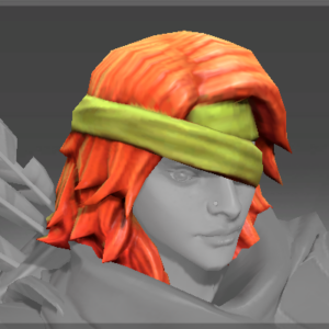Raider's Patch