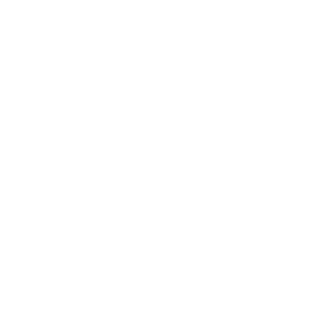 Team Spirit Team Sticker - TI 2022